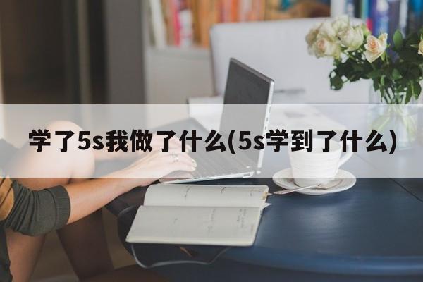 学了5s我做了什么(5s学到了什么)